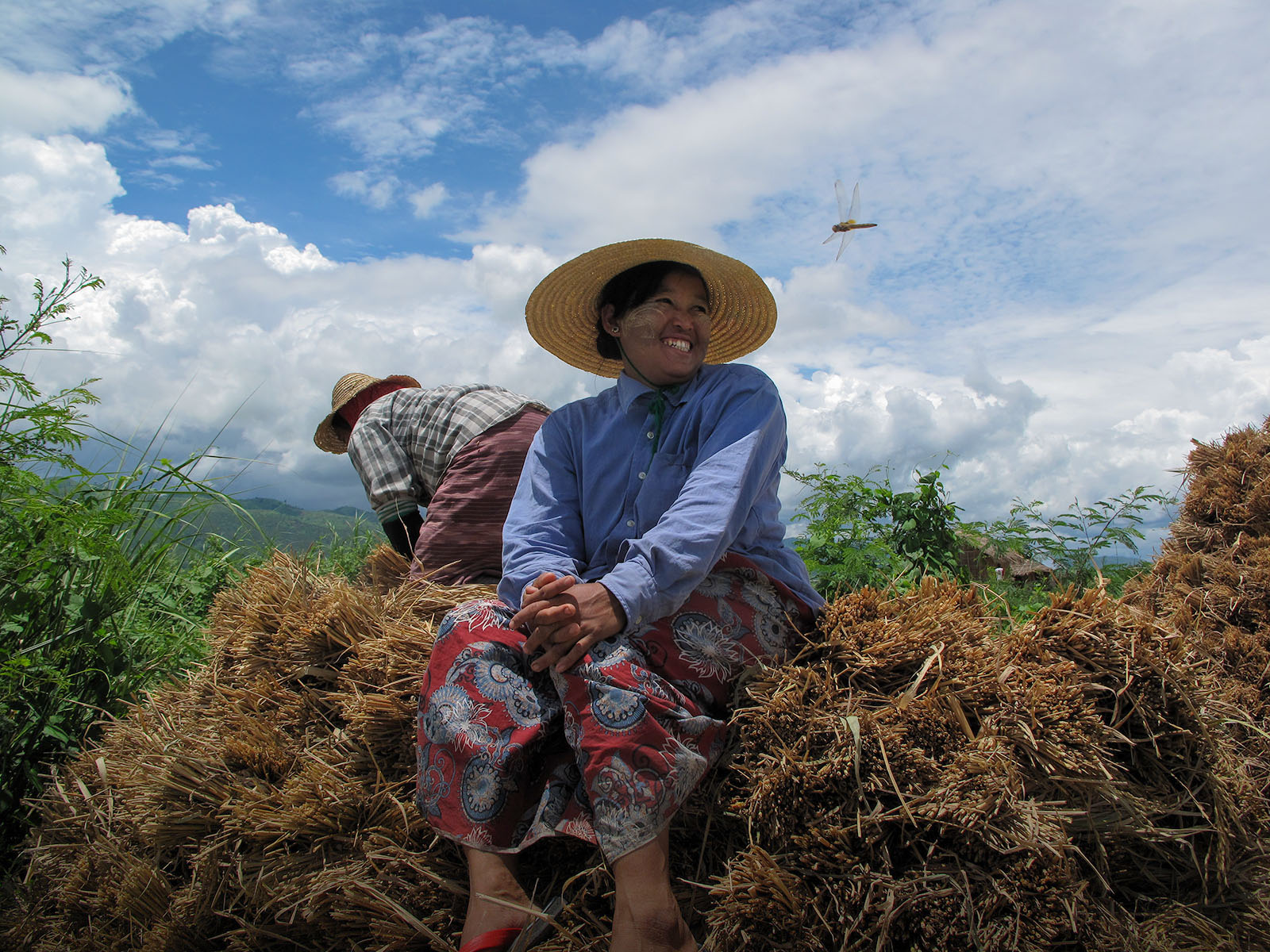 In the foreground, a smiling woman is sitting on a pile of straw, wearing a brim hat. The sky is cloudy. A dragonfly is flying. Behind a man is facing away from the image. He is picking something from the field.